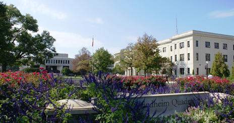 HDP - Summer Conferences